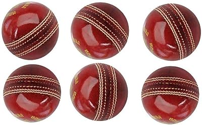 The Cricket Leather Balls